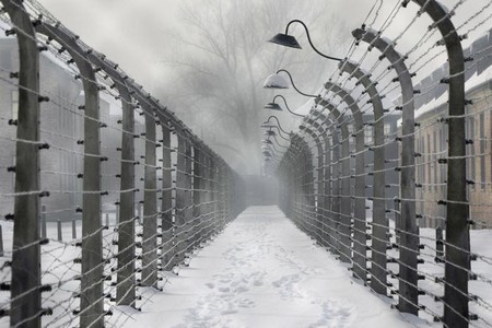 holocaust genocida zide