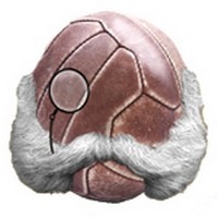 Sportsmeni v zemích českých, aneb co víme o sportu za císaře pána?