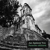 Duch a blues Jana Spáleného