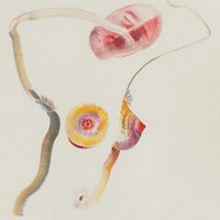 Veronika Holcová: Through The Needle´s Eye As A Frame
