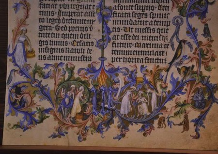 divi bible1