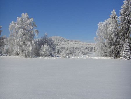 zima-v-novohradskych-horach 1