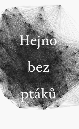 hejno bez ptaku1