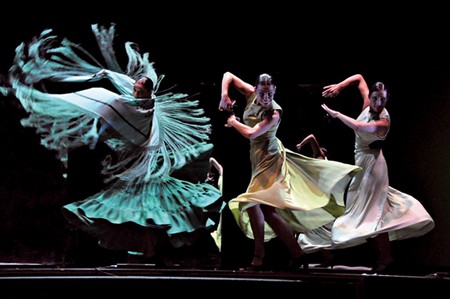 lapelica Flamenco hoy