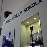 Pod křídly Sokola aneb sokolové nebudovali jen sokolovny