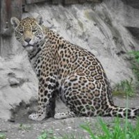 Dni otvorených dverí v zoologickej záhrade