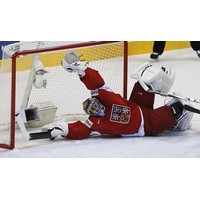 Záchvaty hokejového šílenství 2: Pavelcův kotník a švýcarské zjevení