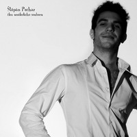 pechar stepan 200