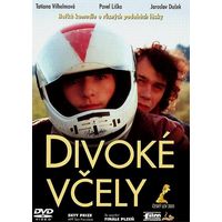 Divoké Včely jsou jako ze staré české vesnice