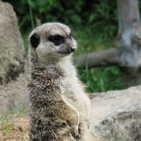 Turistický seriál K21: ZOO Chleby
