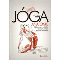 Jóga – anatomie