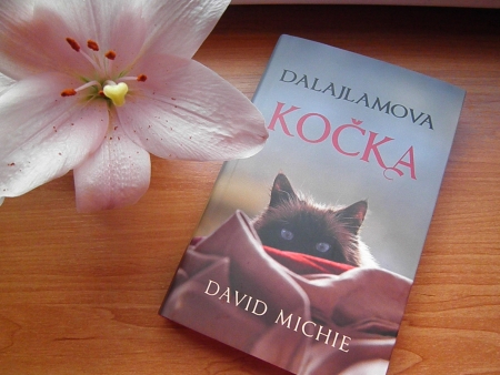kocka