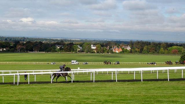 dostihy Long Hill Newmarket