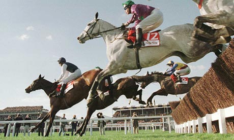 dostihy gold cup cheltenham
