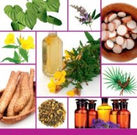 Prirodni hormonalni lecba 200