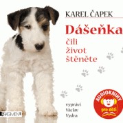 Dášeňka