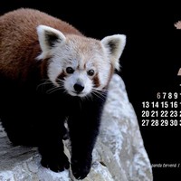 Drôtená ZOO – Tradícia a súčasnosť v drotárskej tvorbe