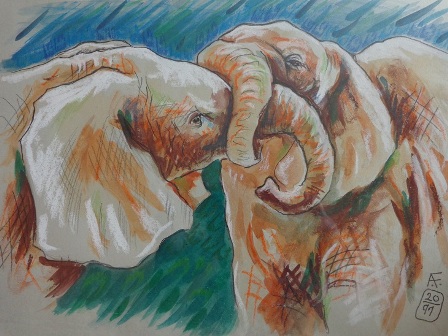 stefanek sloni Karla Nixova