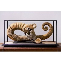 Svankmajer 200