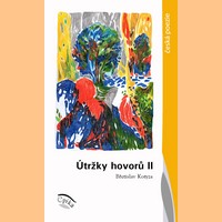 Břetislav Kotyza : Útržky hovorů II