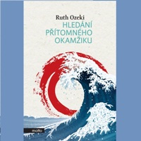 Hledání přítomného okamžiku – ovlivňuje čtenář příběh?
