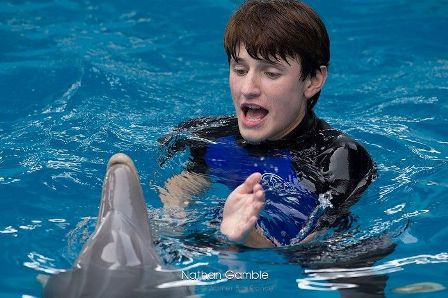 Delfin 1