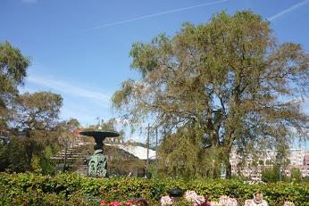 Stockholm i