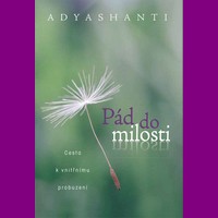 Adyashanti: Pád do milosti