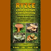 Ryzce  v lese, v kuchyni a s léčivými účinky