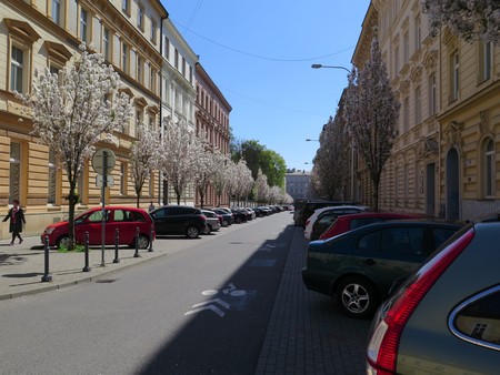 brno1