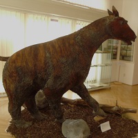 Chrudimské muzeum zve na výlet nejen do druhohor