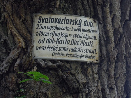 svata hora3