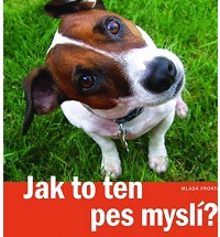 Pejskaři, zbystřete: Jak to ten pes myslí?