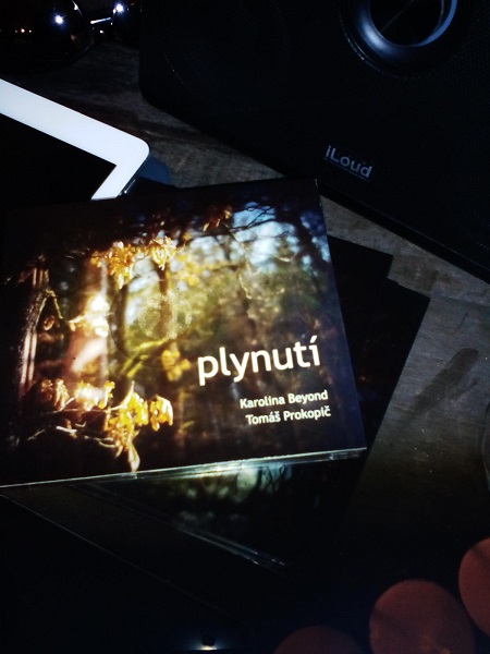 plynuti 2