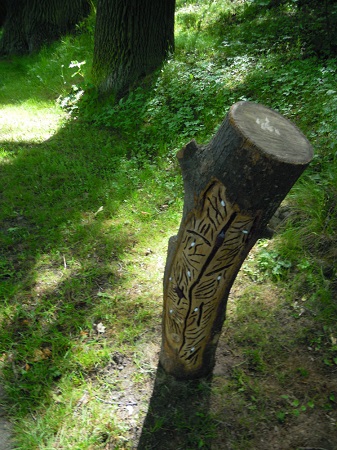 exkurze 4