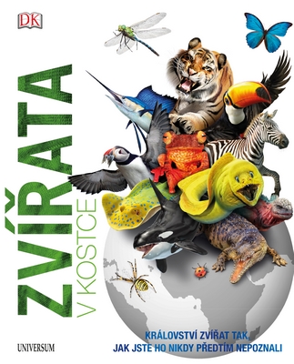 zvirata v kostce