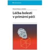 Aktuální náhledy na fenomén bolesti a její léčbu