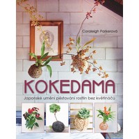 kokedama 200