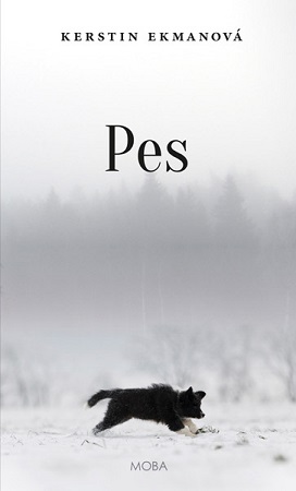 pes moba