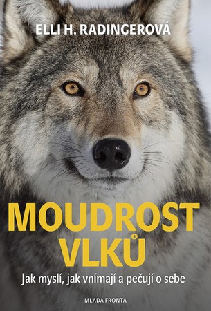 moudrost vlku