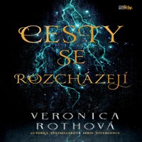 big cesty-se-rozchazeji-NUi-386362