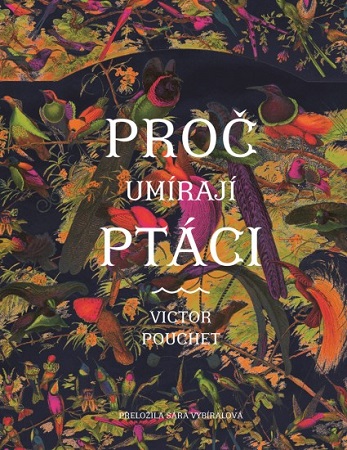 Proc ptaci