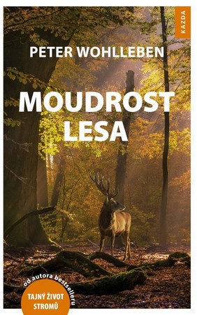 Moudrost lesa
