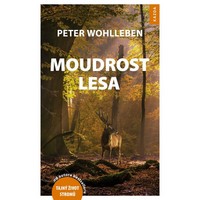 Moudrost lesa 200