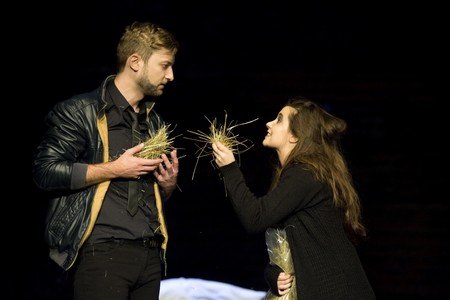 hamlet2