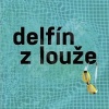 Delfín z louže aneb příběh jednoho amatéra