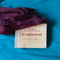 Jak to Schopenhauer myslel s těmi ženami?