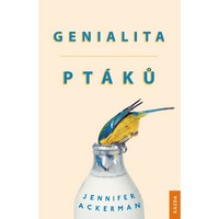 Genialita ptáků vás ohromí