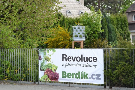 Berdik 7
