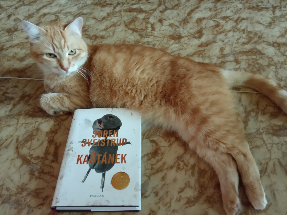 Kaštánek- panáček z kaštanů zvěstuje smrt